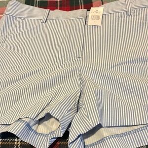 LOFT Women's Light Blue Pinstripe Shorts